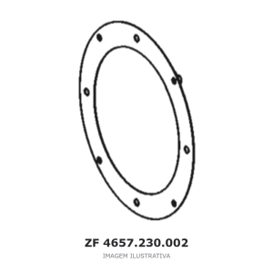 MEMBRANA ZF 6 WG 160 / 3 WG 171 / 3 WG 190 – 4657.230.002 – imagem ilustrativa