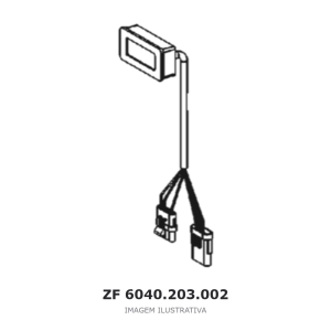 DISPLAY ZF 6 WG 158 / 4 WG 200(555/5) / 4 WG 200 – 6040.203.002 – imagem ilustrativa
