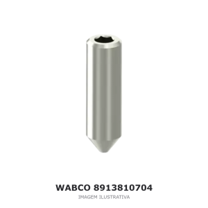PARAFUSO WABCO MAN / IVECO / FORD – 8913810704 – imagem ilustrativa