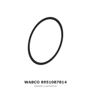 ARRUELA WABCO VOLVO / SCANIA / MAN – 8951087814 – imagem ilustrativa