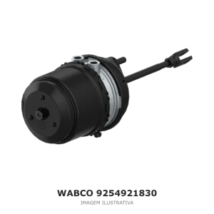 CILINDRO DE FREIO TRISTOP WABCO 30/30 – 9254921830 – imagem ilustrativa