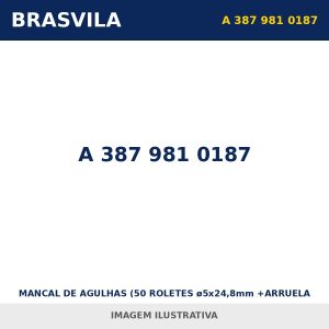 MANCAL DE AGULHAS (50 ROLETES ø5x24,8mm +ARRUELA CENTRAL) A 387 981 0187 Mercedes-Benz BRASVILA – imagem ilustrativa