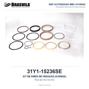 KIT DE ANÉIS DE VEDAÇÃO (O-RINGS) HYUNDAI 31Y1-15236SE – GENUÍNO – imagem ilustrativa