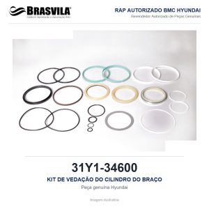 KIT DE VEDAÇÃO DO CILINDRO DO BRAÇO HYUNDAI 31Y1-34600 – GENUÍNO – R160LC-9 / R180LC-9 / R170W-9 / HX160L – imagem ilustrativa