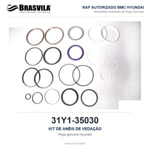 KIT DE ANÉIS DE VEDAÇÃO HYUNDAI 31Y1-35030 – GENUÍNO – imagem ilustrativa