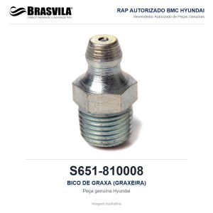 BICO DE GRAXA (GRAXEIRA) HYUNDAI S651-810008 – GENUÍNO – imagem ilustrativa