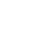 Zf_logo_PNG1